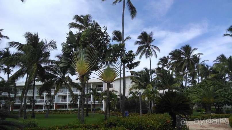 фото VIK Hotel Arena Blanca