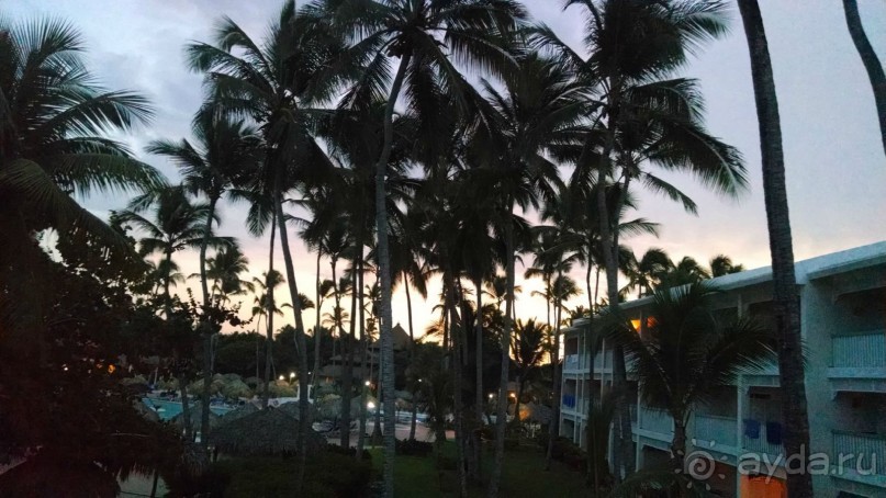 фото VIK Hotel Arena Blanca