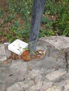 Верхний Велигож - УЖАС!