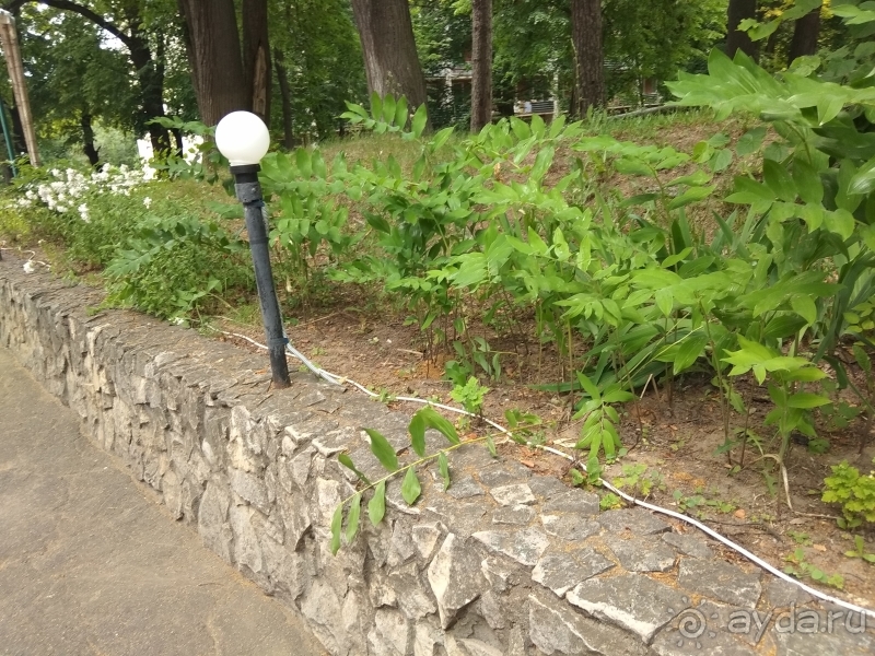 Верхний Велигож - УЖАС!