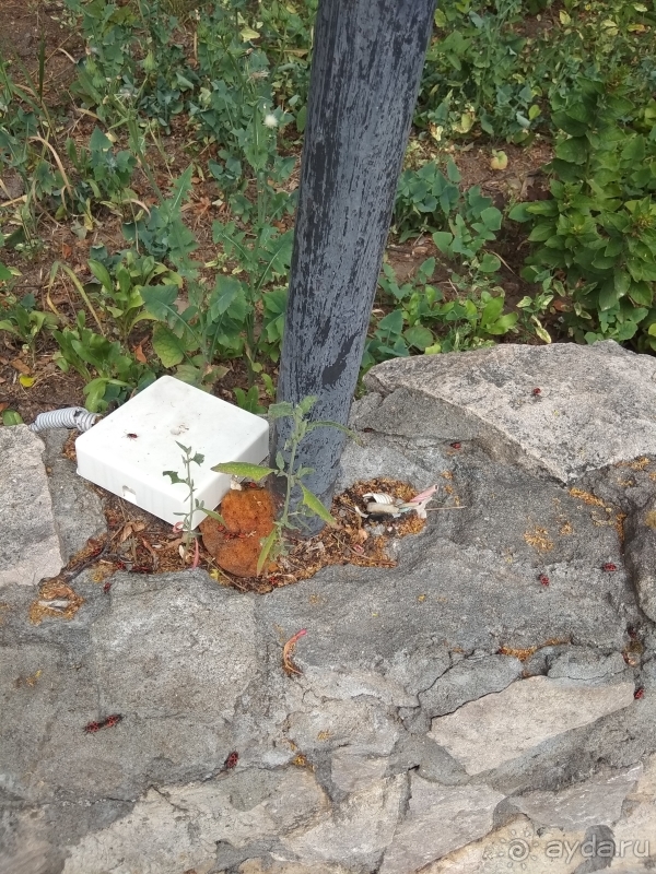 Верхний Велигож - УЖАС!