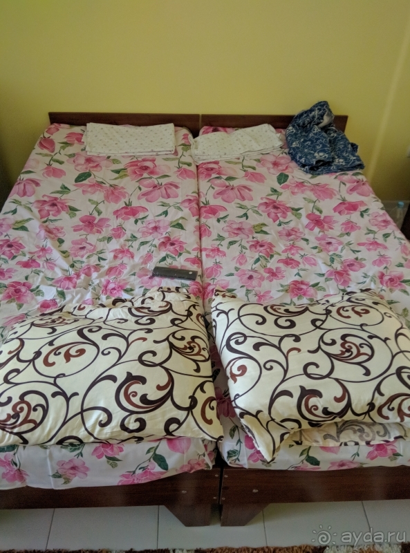 Отель дружба в штормовом