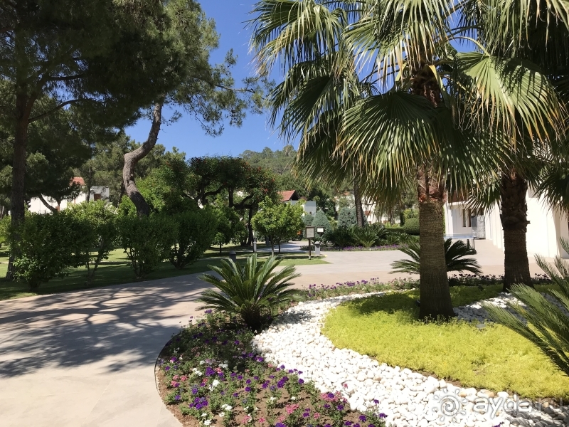 Классный отель, развлечения на любой вкус