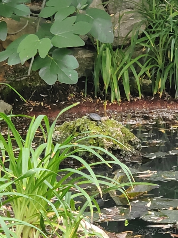 Отдых что надо получился в этом году! 