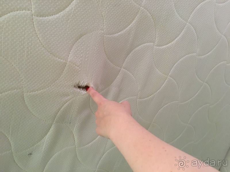 ОТВРАТИТЕЛЬНО!!!!!