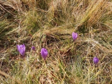 Андорра - Португалия (Лагуш) - Испания (Тосса-де-Мар, Жирона)