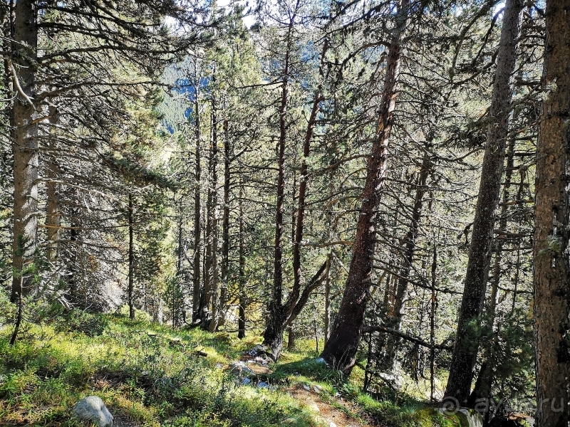 Андорра - Португалия (Лагуш) - Испания (Тосса-де-Мар, Жирона)