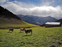 Андорра - Португалия (Лагуш) - Испания (Тосса-де-Мар, Жирона)