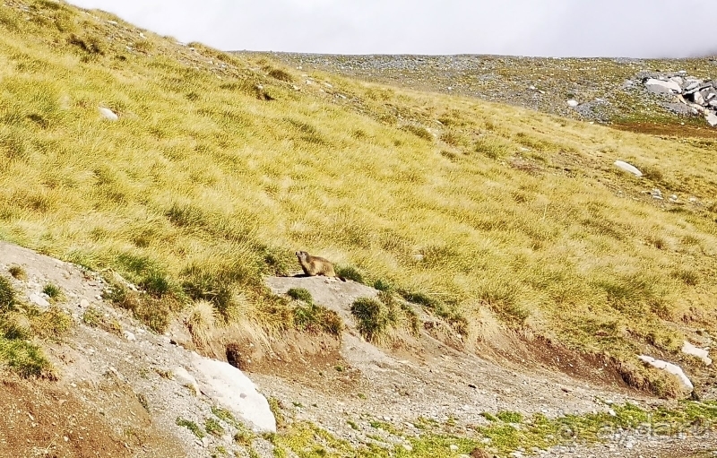 Андорра - Португалия (Лагуш) - Испания (Тосса-де-Мар, Жирона)