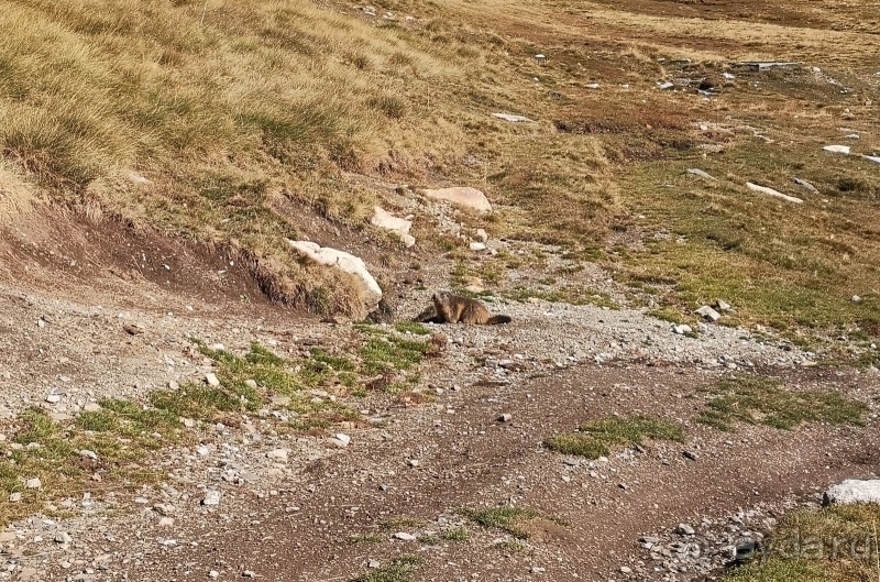 Андорра - Португалия (Лагуш) - Испания (Тосса-де-Мар, Жирона)
