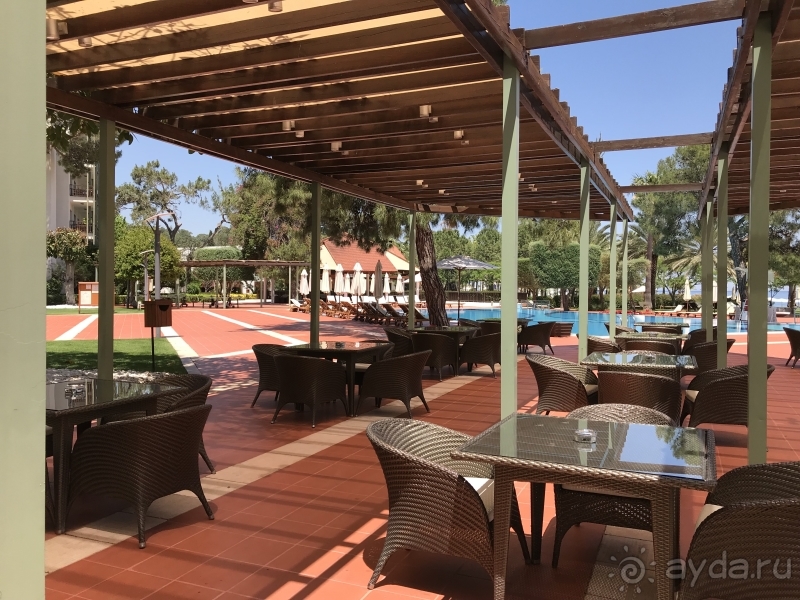 Наш опыт поездок в Пальмие