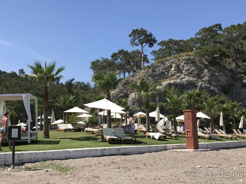 Наш опыт поездок в Пальмие