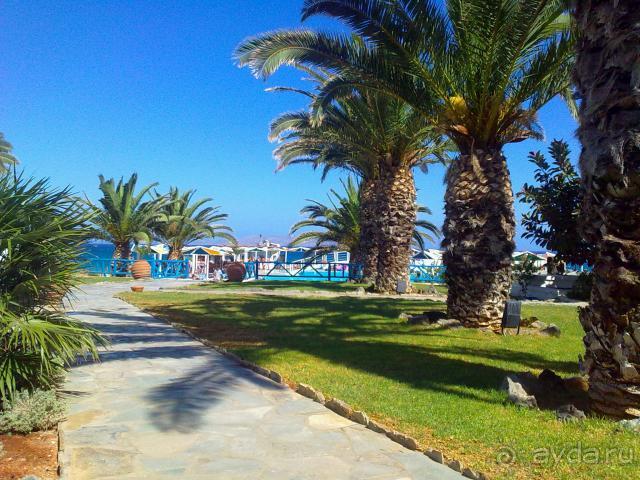 Ринелла Бич - вполне прилично