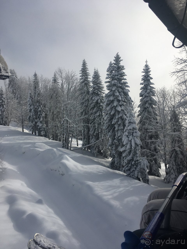 Зимний отдых  в Gamma Sirius Park