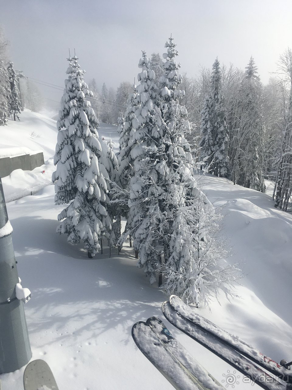 Зимний отдых  в Gamma Sirius Park