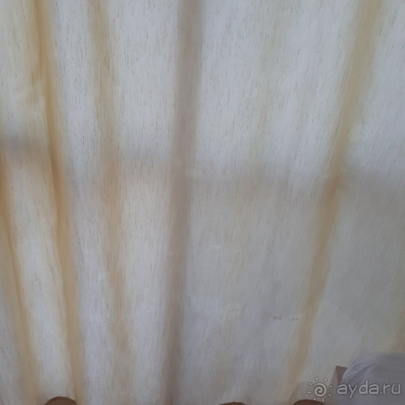 Отвратительное отношение к постояльцам, шум, плесень, тараканы