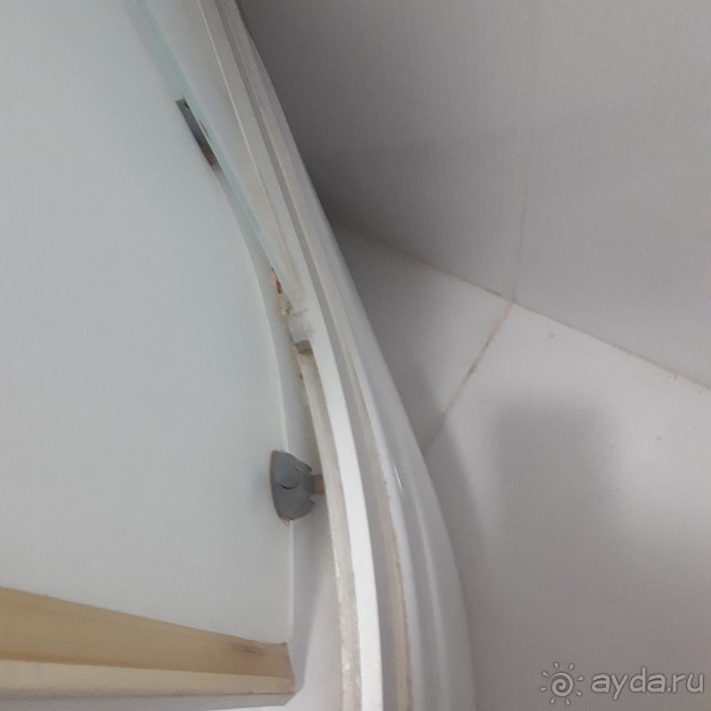 Отвратительное отношение к постояльцам, шум, плесень, тараканы