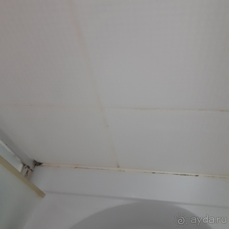 Отвратительное отношение к постояльцам, шум, плесень, тараканы