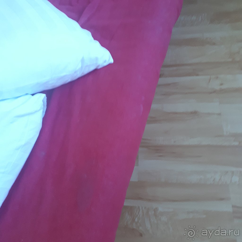 Отвратительное отношение к постояльцам, шум, плесень, тараканы