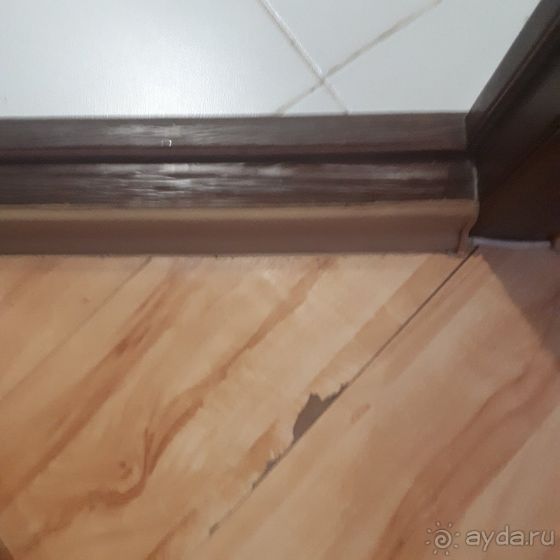 Отвратительное отношение к постояльцам, шум, плесень, тараканы