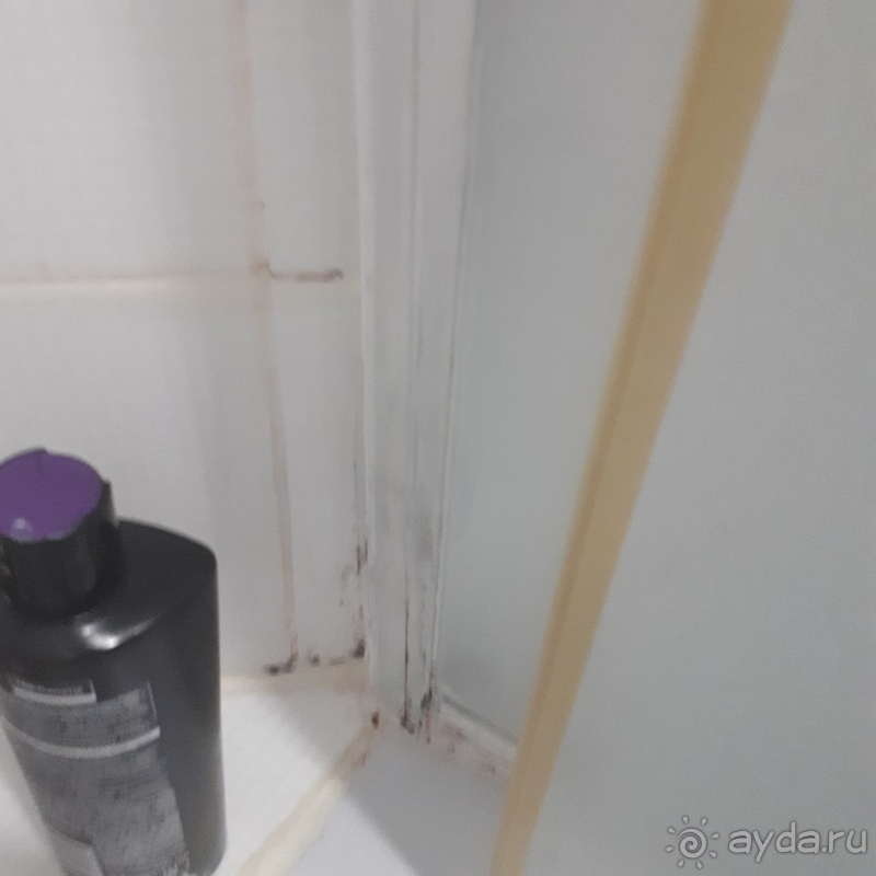 Отвратительное отношение к постояльцам, шум, плесень, тараканы