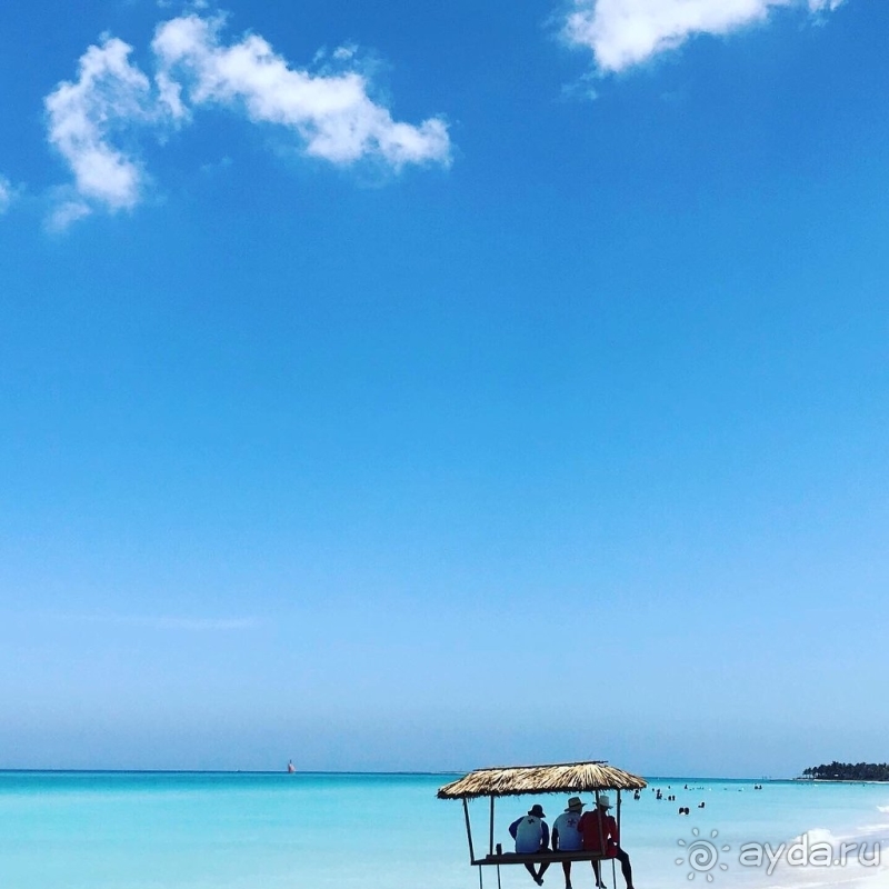 Превзошел все наши ожидания!!!