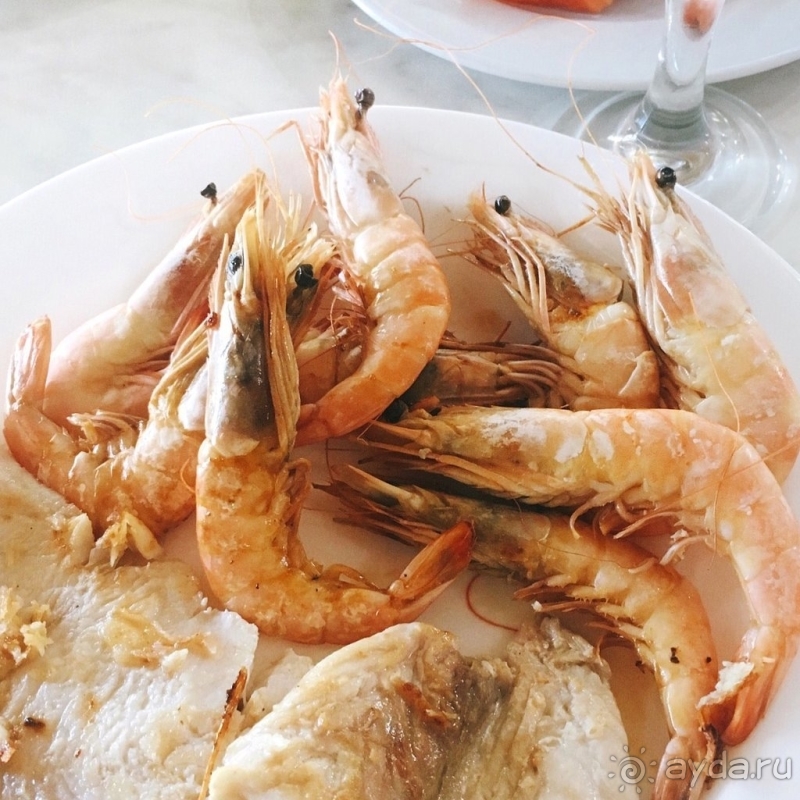 Увидев океан, Вы забудете обо всем