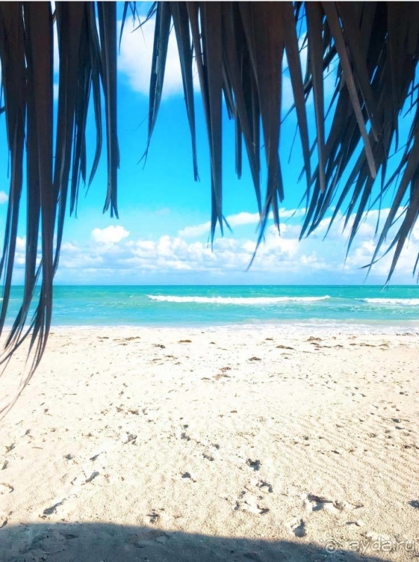 Увидев океан, Вы забудете обо всем