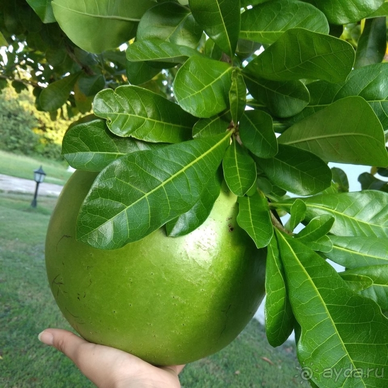 Была приятно удивлена отелем