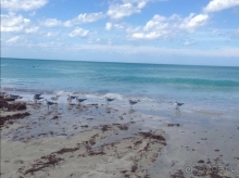 Отель не оправдывает свою категорию!