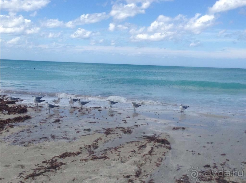 Отель не оправдывает свою категорию!