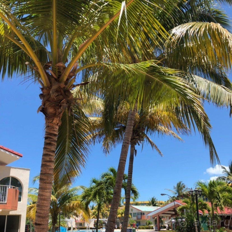 В пяти минутах от основных тусовочных мест