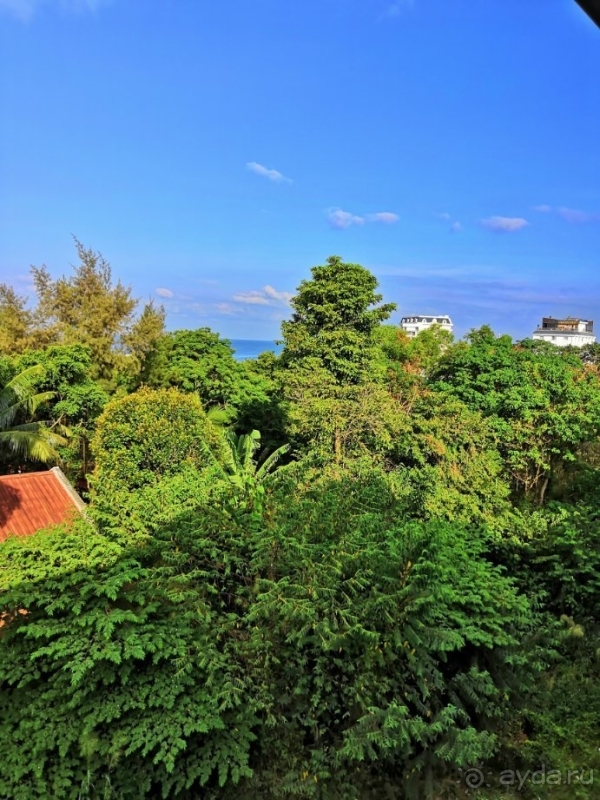 Отличный вариант!