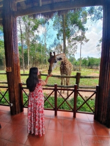 Лучший отель, где мы отдыхали! Лучший отель, где мы отдыхали!