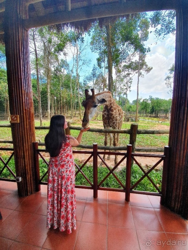 Лучший отель, где мы отдыхали!