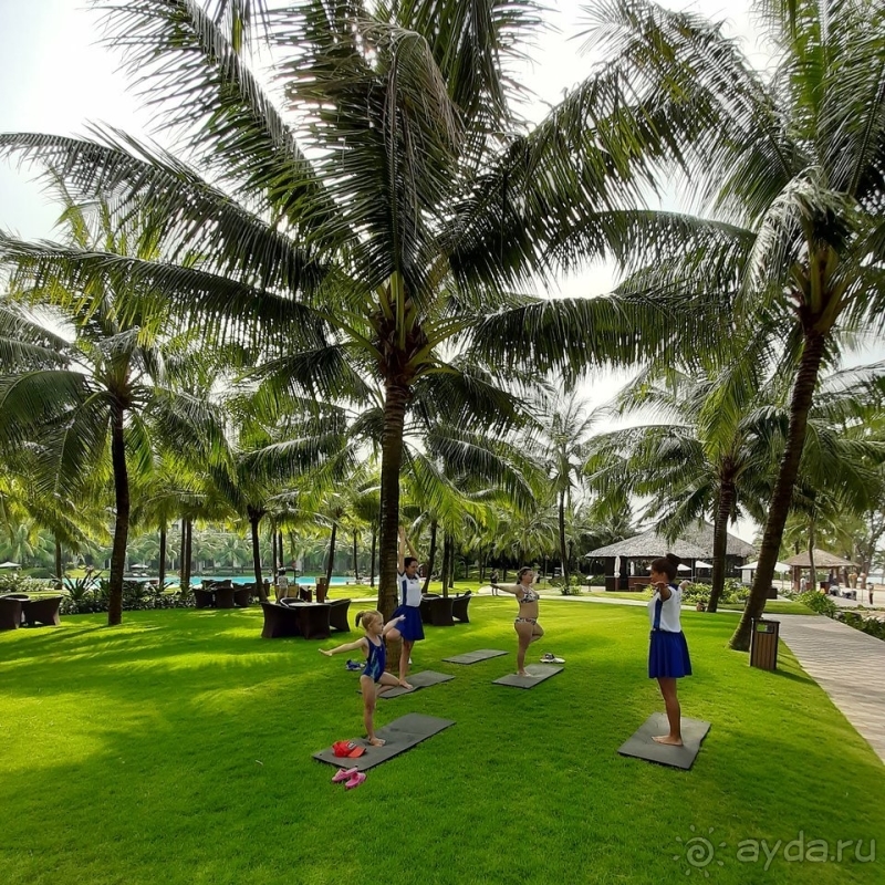 Чудесный отель!