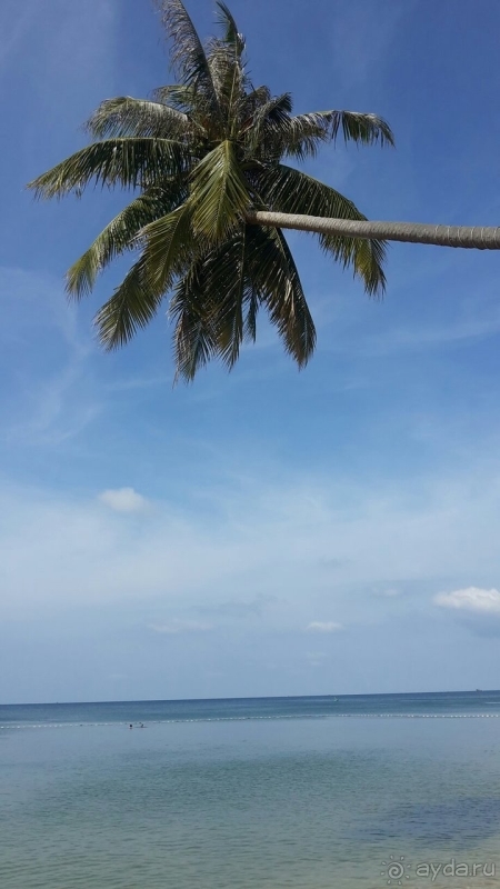 Прекрасная территория, но номерной фонд безнадежно устарел!