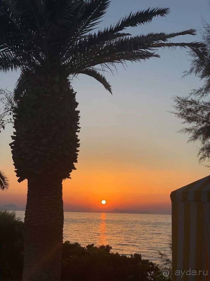 Xорошее соотношение цены и качества!