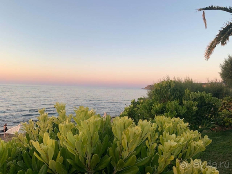 Xорошее соотношение цены и качества!