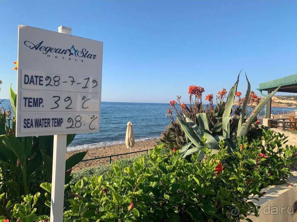 Xорошее соотношение цены и качества!