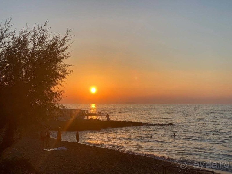 Xорошее соотношение цены и качества!