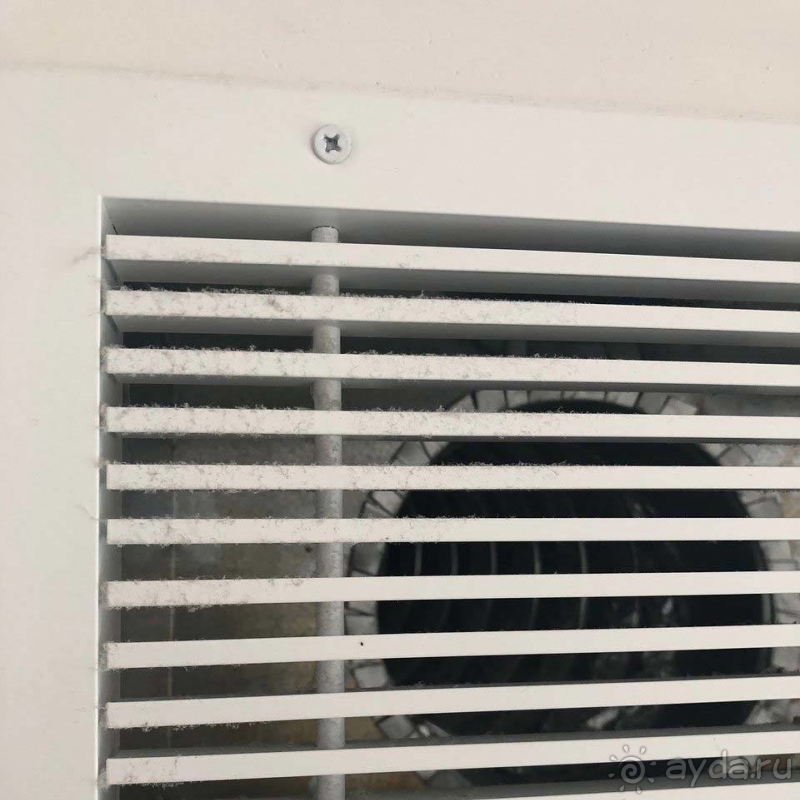 О реалиях в Agapi