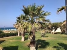 Первый отпуск с ребёнком