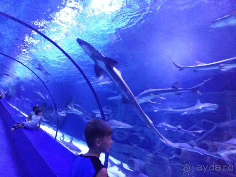 Анталийский аквариум