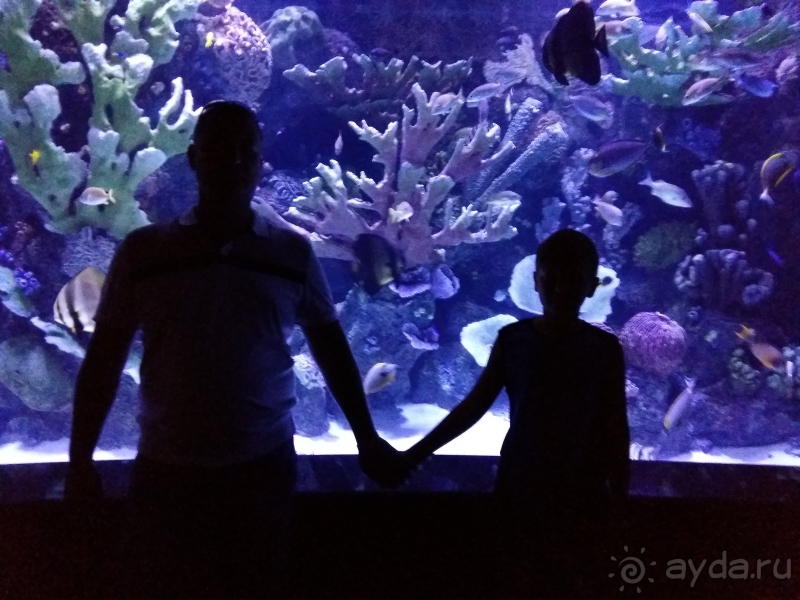 Анталийский аквариум