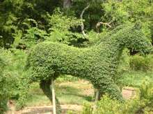 фото Большой Ялты