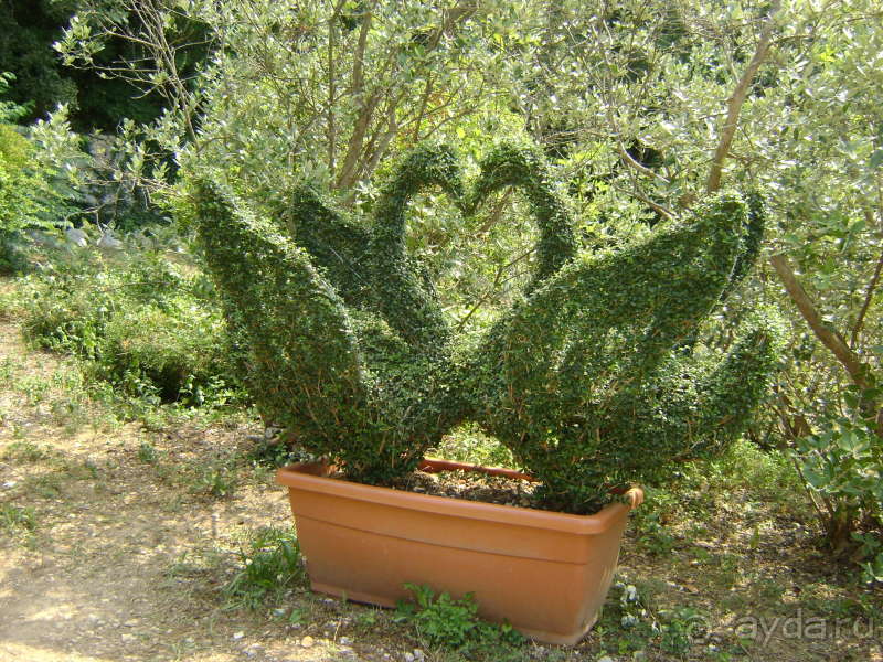 фото Большой Ялты