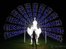 Что посмотреть в Шарм-Эль-Шейхе