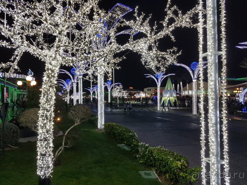 Что посмотреть в Шарм-Эль-Шейхе