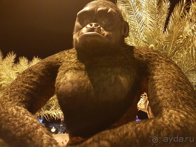 Что посмотреть в Шарм-Эль-Шейхе